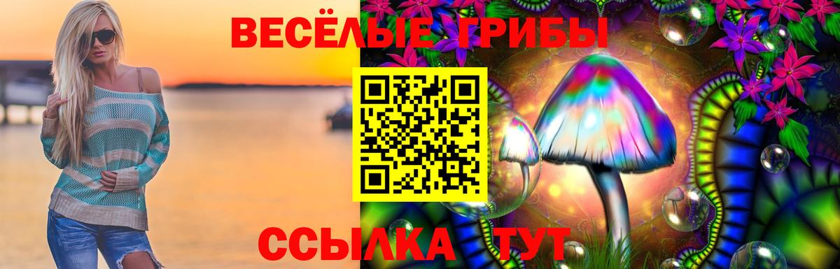Псилоцибиновые грибы GOLDEN TEACHER Новошахтинск